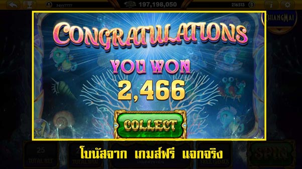 หมุนฟรี 8 รอบ ได้เงิน 2,466 บาท