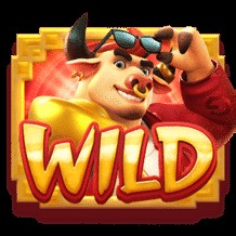 wild fortune ox