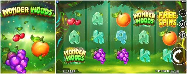 Wonder Woods